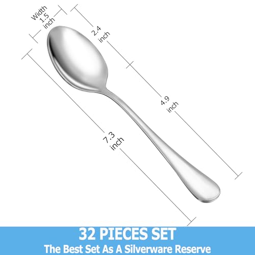 32 Pcs Dinner Spoon Set (32 Count)