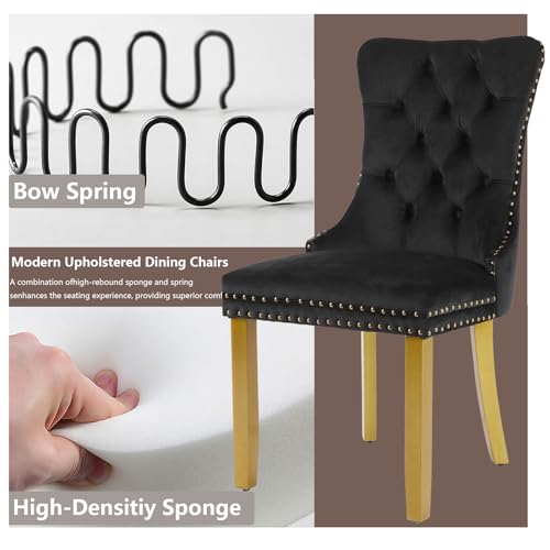 Black Velvet Dining Chairs Set of 4 (4 Count)