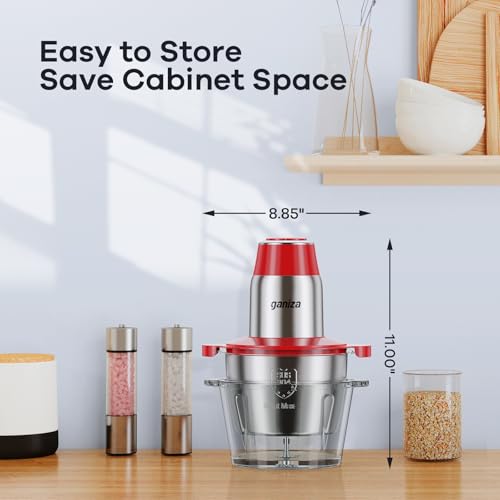 Food Processors with 2 Bowls