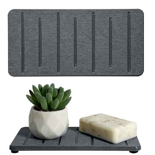 2PCS Water Absorbing Stone Tray for Cosmetics & Hand Soap & Houseplants (2 Count)