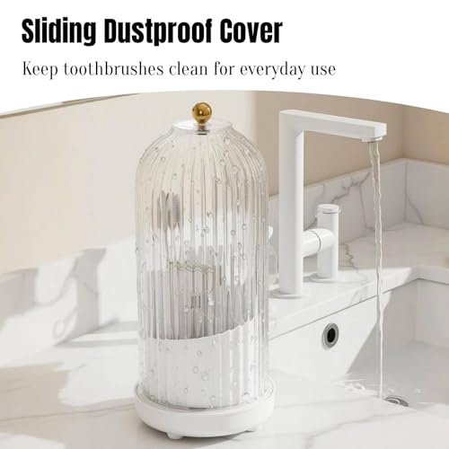Dustproof Toothbrush Holder Organizer with Drainage