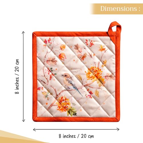 Pot Holders 100% Cotton Potholders (2 Count)