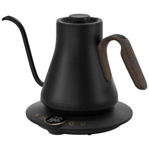 Gooseneck Electric Kettle