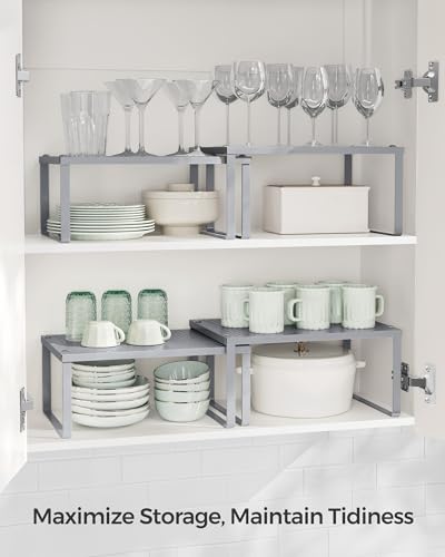 Set of 4 Metal Spice Racks (4 Count)