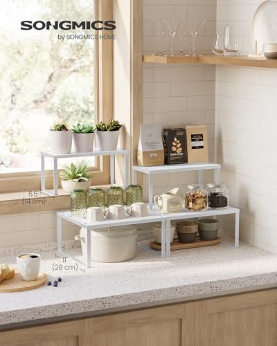 Set of 2 Metal Spice Racks (2 Count)