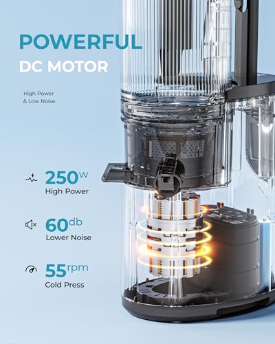 Cold Press Juicer