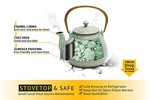Tea Kettle for Stove Top