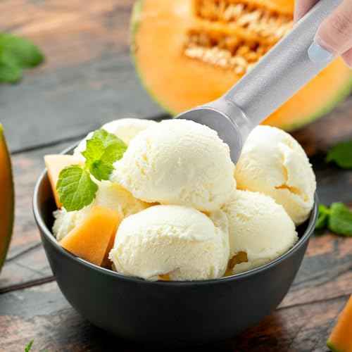 16 Pcs Ice Cream Scoop Set (16 Count)