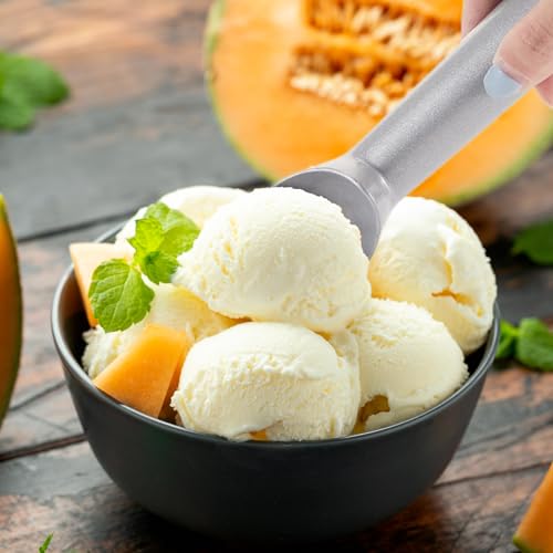 12 Pcs Ice Cream Scoop Set (12 Count)