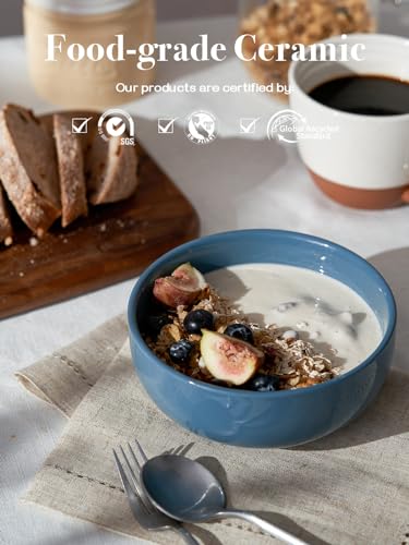 22 OZ Ceramic Soup Bowls & Cereal Bowls (4 Count)