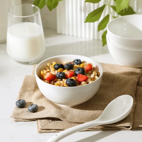 14 Oz Small Ceramic Bowls Set of 8 (8 Count)