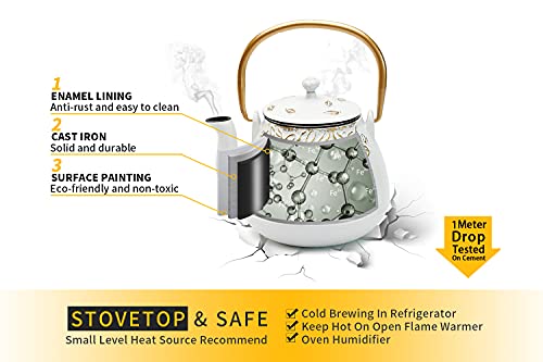Japanese Cast Iron Tea Kettle with Infuser