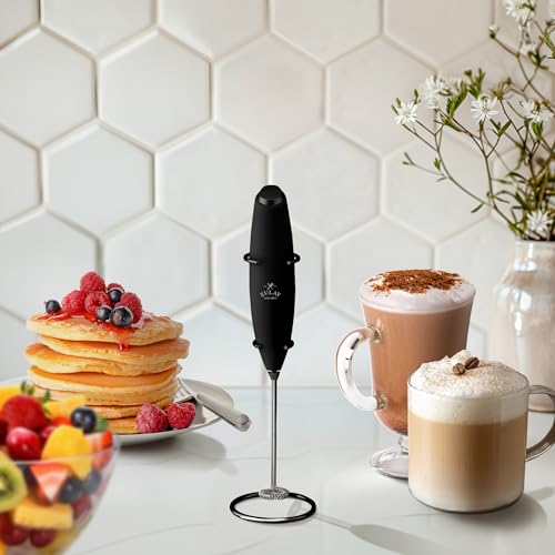 Milk Frother Handheld