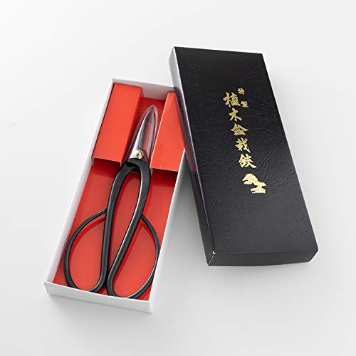Ashinaga Bonsai Pruning Scissors 8inch