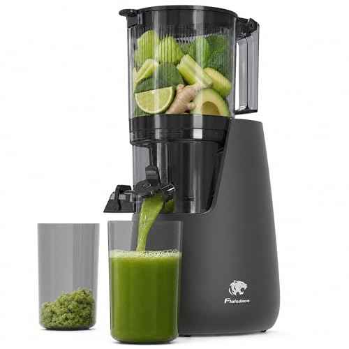 Cold Press Juicer