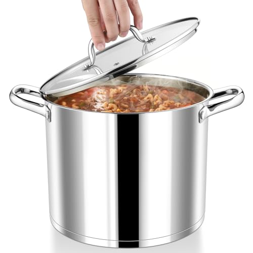 12 QT Stainless Steel Stock Pot with Lid