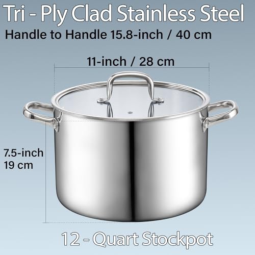 12 Quart Tri Ply Clad Stainless Steel Stockpot with Lid