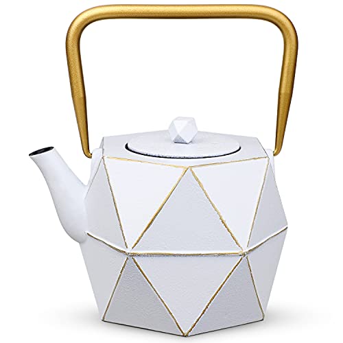 Cast Iron Teapot