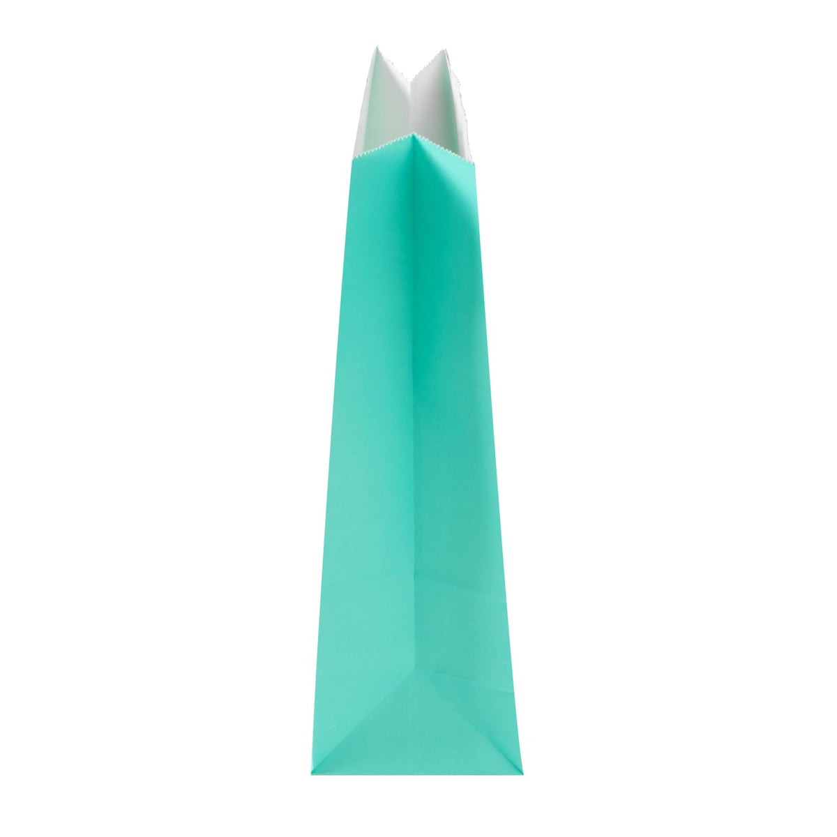 Turquoise Paper Bag (100 Count)