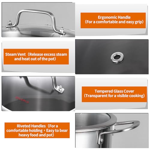 Tri ply Stainless Steel 8 Quart Heavy Duty Induction Stock Pot