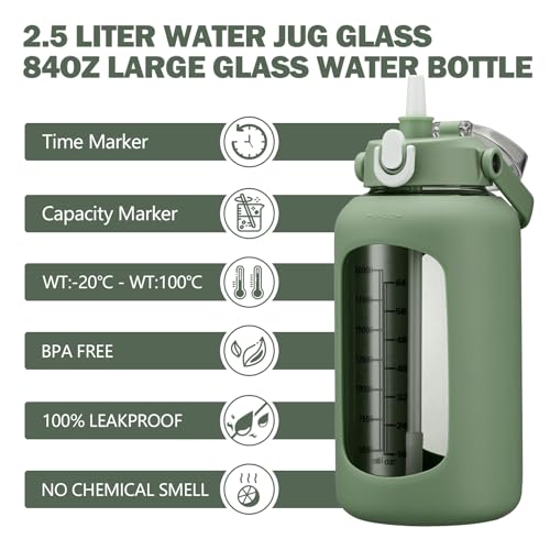 84oz Glass Water Bottle with Straw