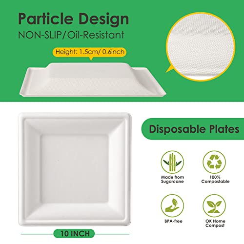 Compostable Square Paper Plates 10 Inch 100 Pack Disposable Plates (100 Count)