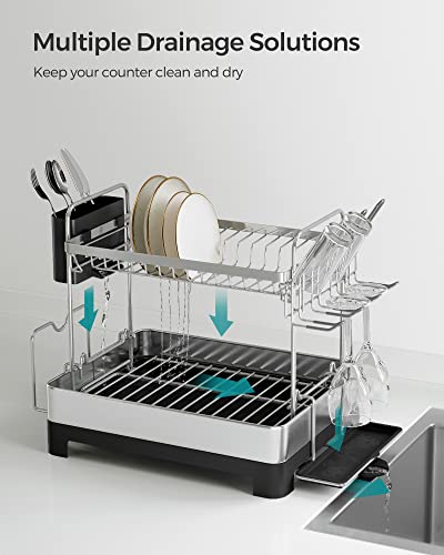 2 Tier Dish Drying Rack for Kitchen Counter
