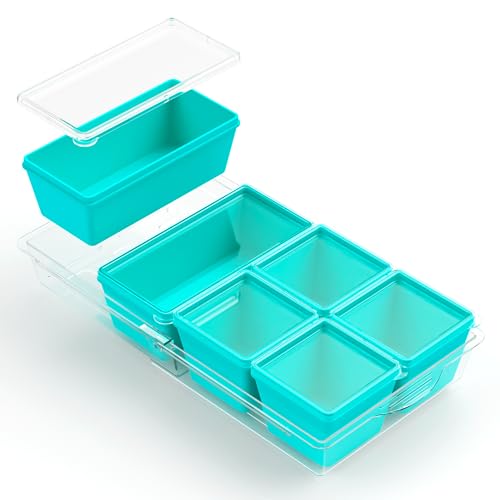 Silicone Freezer Molds with Lids (6 Count)
