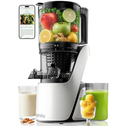 3-in-1 Cold Press Juicer C16, Makes Juice & Sorbet & Nut Milk