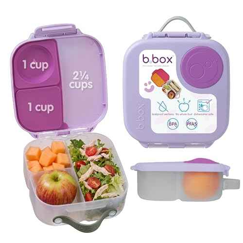 Mini Lunch Box