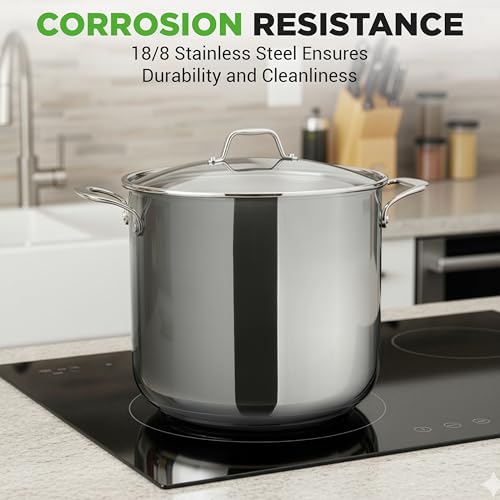 19 Qt Stock Pot with Lid