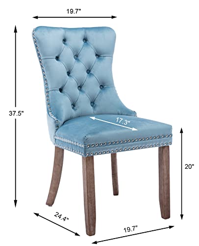 Light Blue Velvet Dining Chairs Set of 4 (4 Count)