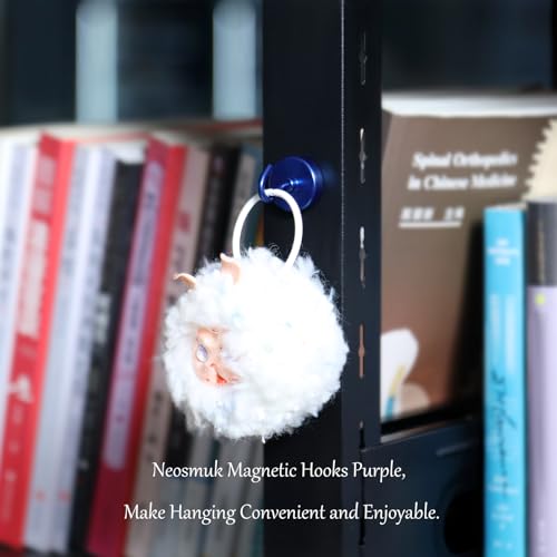 Magnetic Hooks (10 Count)