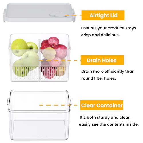 6 Pack Large Fruit Storage Containers for Fridge with Timing Knob (3 Count)