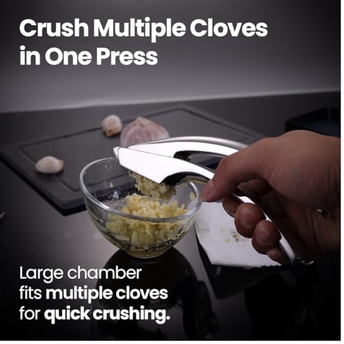 Garlic Press Lifetime Replace