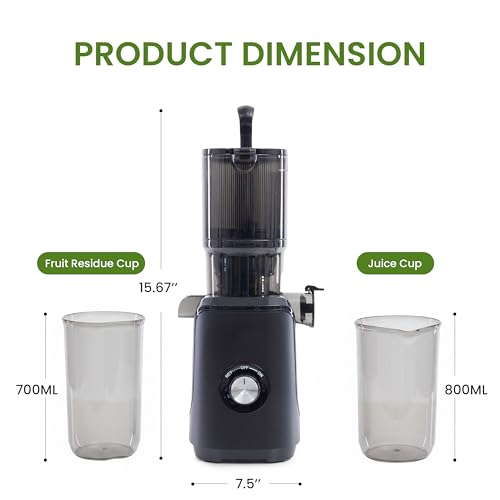 Cold Press Juicer