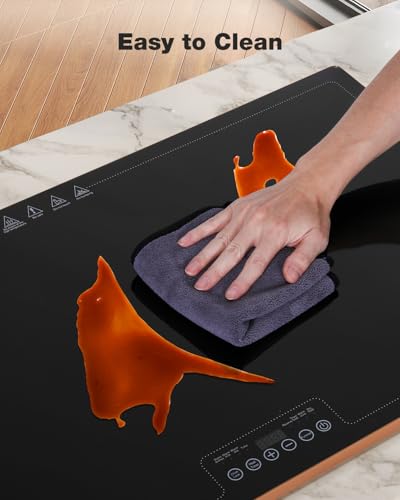 Electric Warming Tray