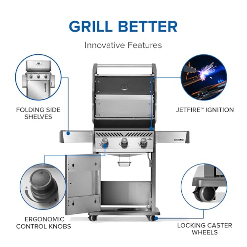 Rogue 425 3 Burner Natural Gas Grill
