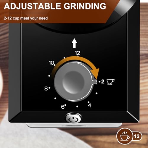 Electric Burr Coffee Grinder