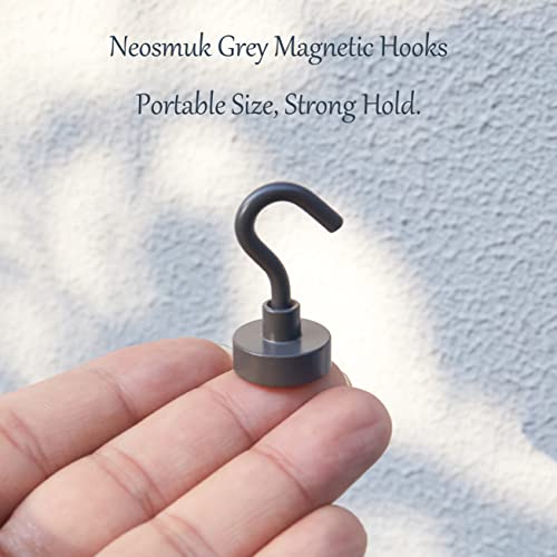 Magnetic Hooks (10 Count)