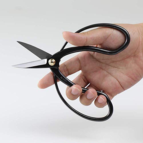 Hanafubuki Wazakura Bonsai Scissors Made in Japan 7inch