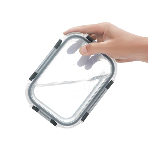 10 Pack 22 oz Glass Meal Prep Containers (10 Count)