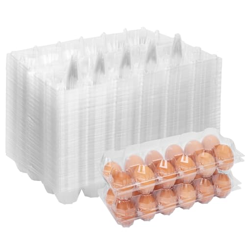60 Pack Plastic Egg Cartons Cheap Bulk (60 Count)