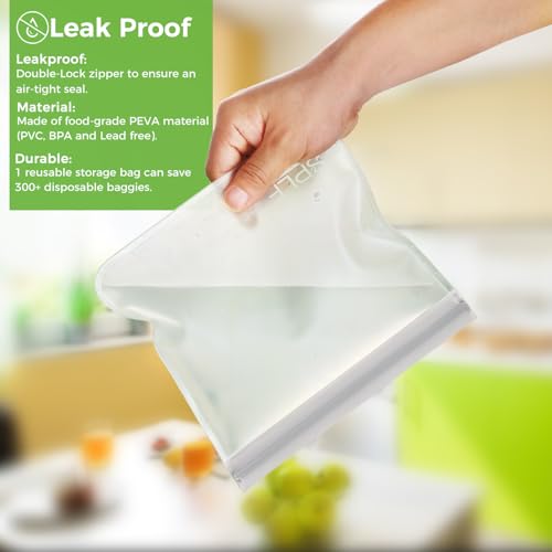 10 Pack Reusable Sandwich Bags Dishwasher Safe (10 Count)