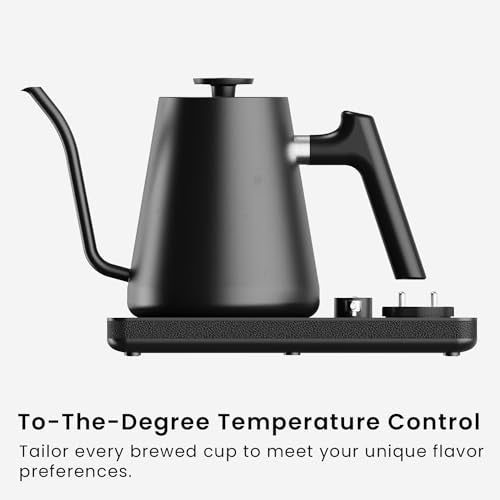 DJ Electric Gooseneck Kettle