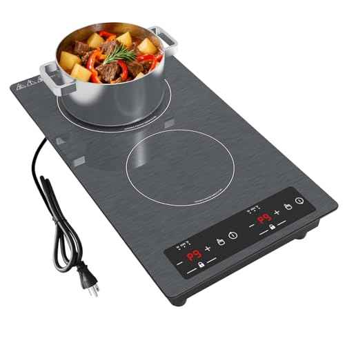 Double Induction Cooktop 110v