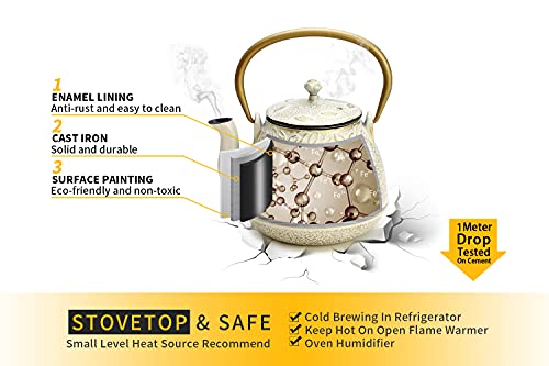 Cast Iron Tea Kettle