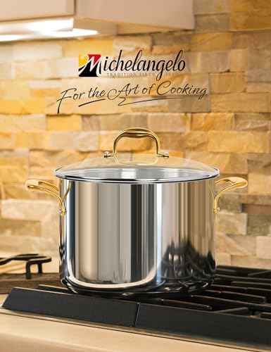 Stainless Steel Stock Pot with Lid