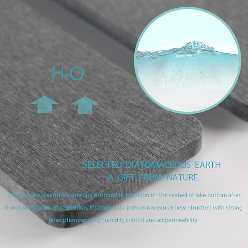 2Pcs Stone Soap Trays Water Absorbing Diatomite Coaster (2 Count)