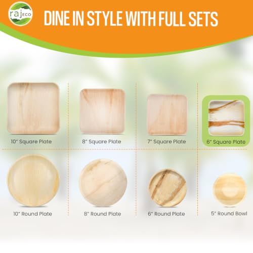 Raj Bamboo Disposable Heavy Duty 6" Square Plates 300 Pack (300 Count)